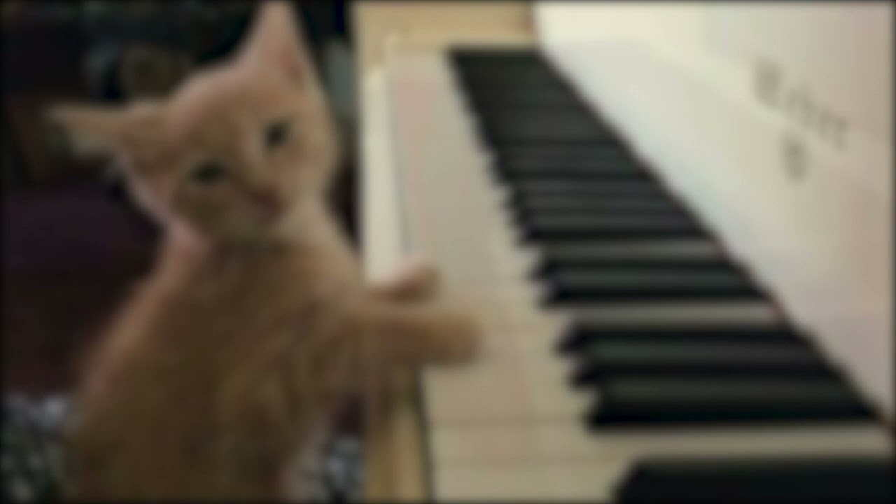 symphony | 𝒔𝒑𝒆𝒅 𝒖𝒑 + 𝒓𝒆𝒗𝒆𝒓𝒃 - clean bandit, zara larsson