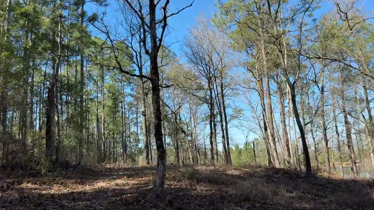 Tu Viện Lien Tri. 80 Acres land in Alabama.  