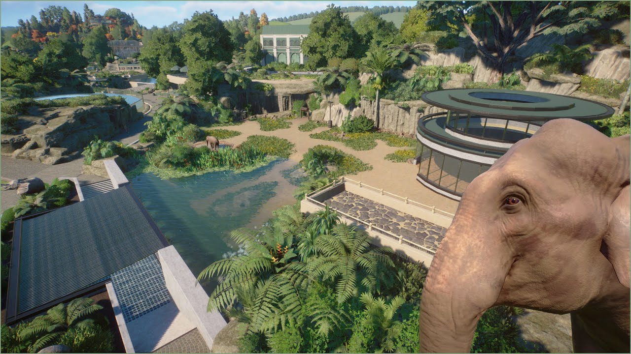 🐘Tropical Indian elephant habitat with underwater view | Quaco Zoo | Planet Zoo | speedbuild 🌻