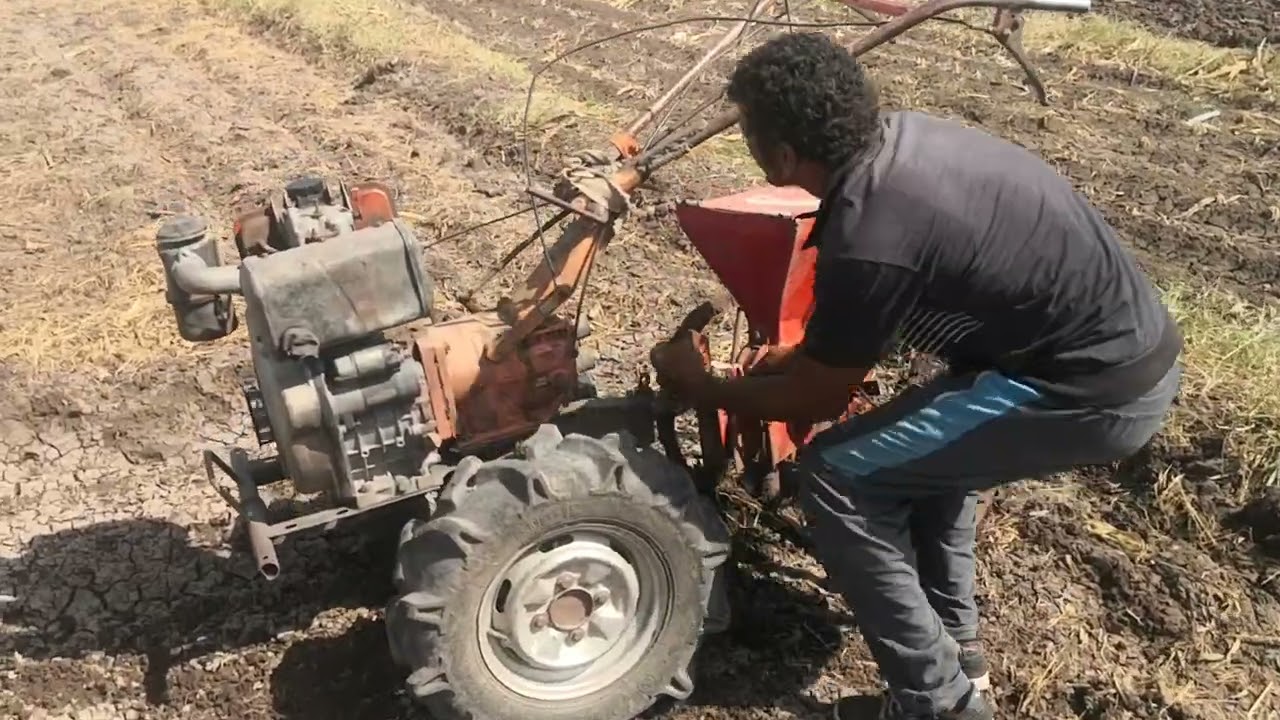 ادعوا لنا بالبركة واحنا بنزرع الفاصوليا بالسطارة اليوم ربنا يرزقنا الخير