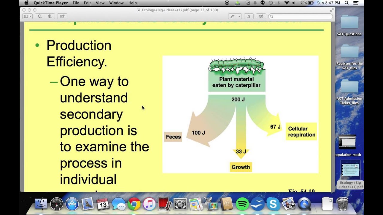 Gpp and Npp and Sp