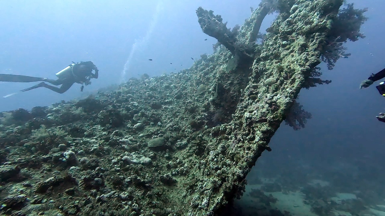 Дайвінг, Єгипет﹡ 13.02.2026 ﹡ Diving, Egypt