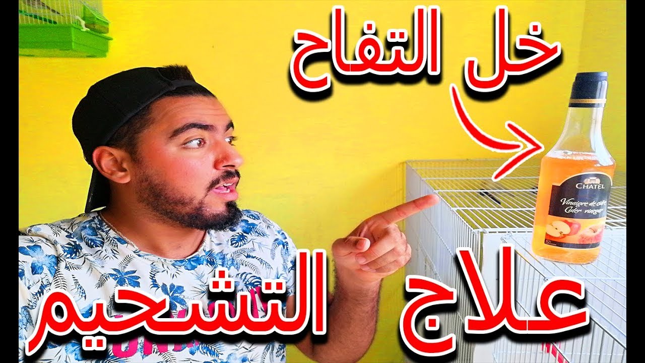 شاهد احسن و اسهل طريقة ل علاج التشحيم عند الكناري و الحسون 🐦🍏| اسباب.. اعراض.. و علاج التشحيم 💪🍎