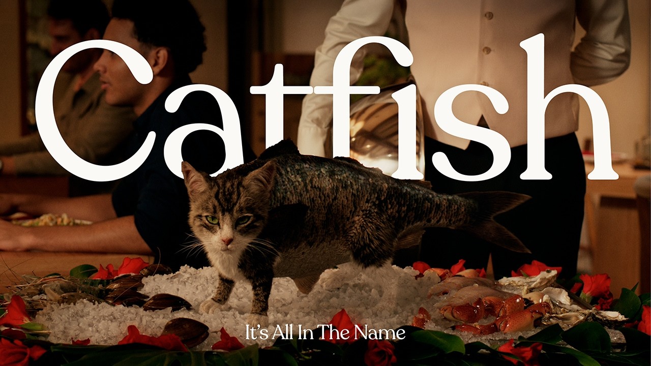 Catfish | Rewards on Hotels.com