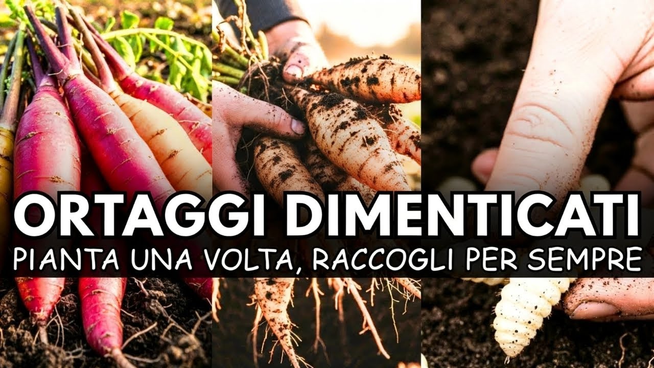 7 Verdure Dimenticate Che Crescono Come Erbacce - La Miniera d'Oro del Giardiniere Pigro !