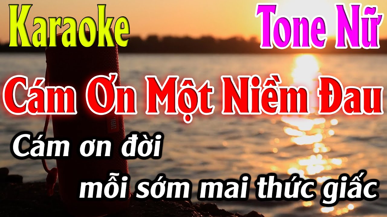 Cám Ơn Một Niềm Đau Karaoke Tone Nữ ( Am ) Karaoke Lâm Organ - Beat Mới