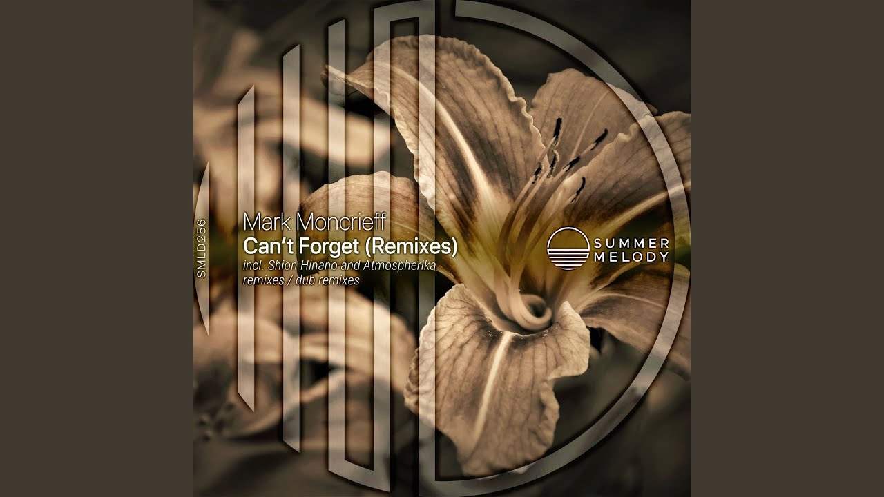 Can't Forget (Shion Hinano Dub Remix)