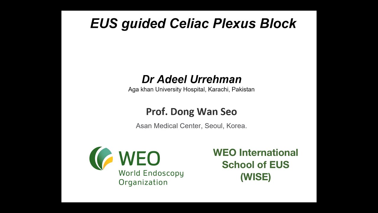 EUS guided Celiac Plexus Block