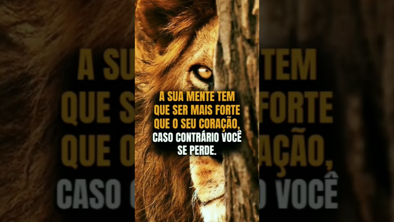 A Sua Mente Tem Que Ser... #autoaperfei&ccedil;oamento