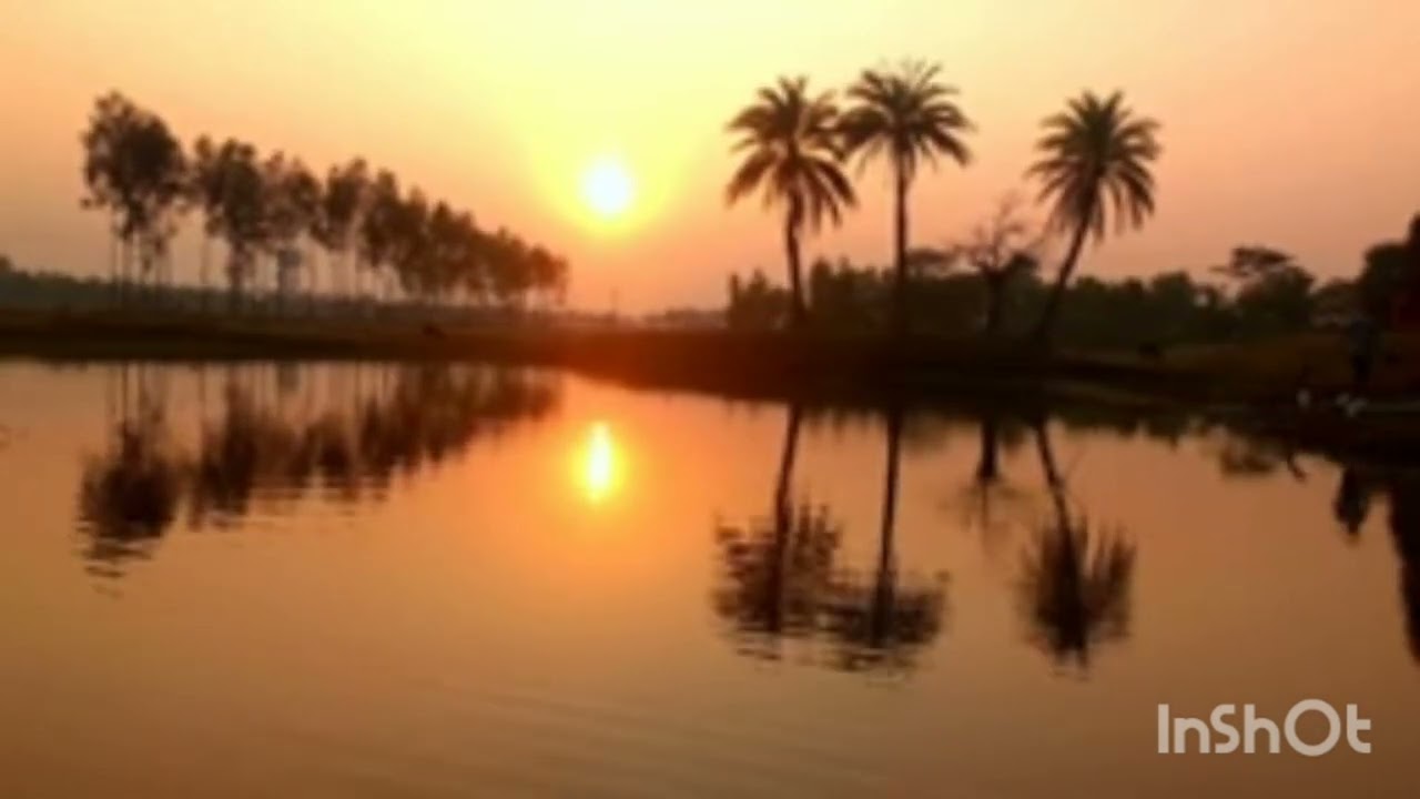 পলাশীর জীবনের কথা  আশিক 