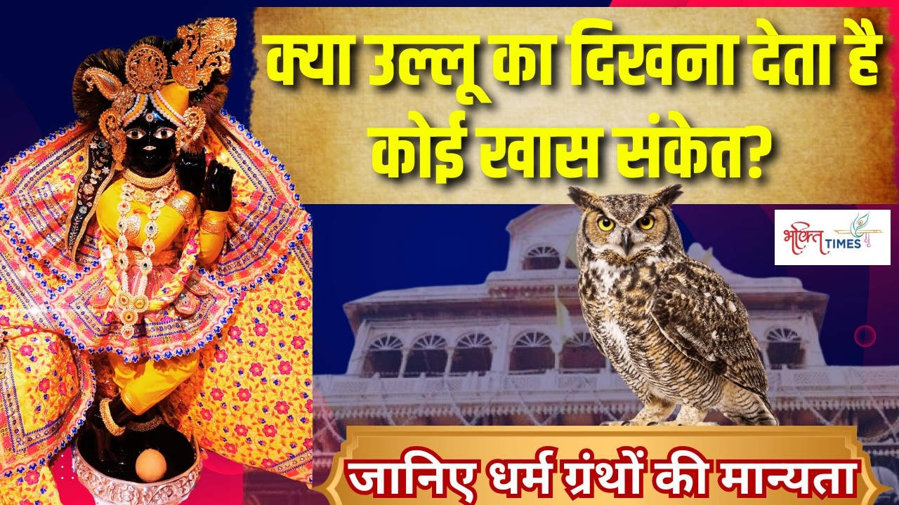 Owl Sign in Hindu Dharma Live: उल्लू का दिखना देता है कोई खास संकेत? | Bhakti Times