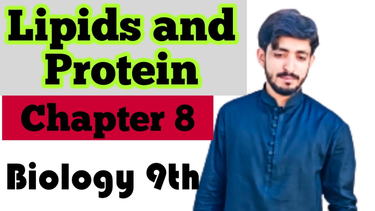Lipids and Proteins | Components of Human Food | Biology 9th chapter 8 Nutrition