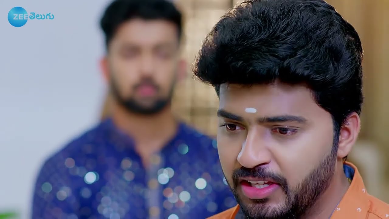 Vaidehi Parinayam - వైదేహి పరిణయం - Telugu Serial - EP - 195 - Karuna Bhushan - Zee Telugu