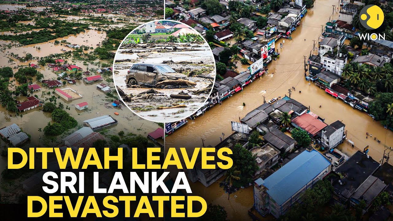 Cyclone Ditwah LIVE: Sri Lanka Declares State Emergency As Death Toll Climbs 212 | WION LIVE