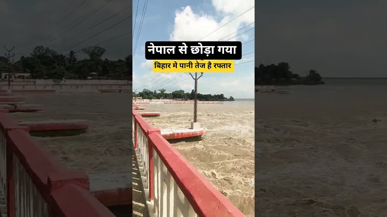 KOSHI RIVER WATER LEVEL UPDATE PART 1#viral #news #koshibarragenepal #water #koshibarrage #koshi