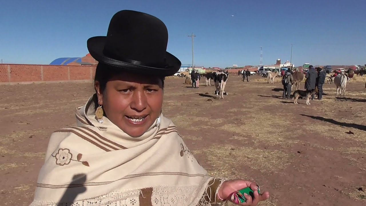 FERIA ANUAL DE ''GANADO VACUNO'' EN JESUS DE MACHACA PROVINCIA INGAVI