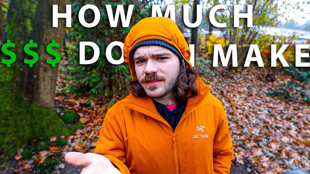 How Much Money Does A Daily Vlogger Make?