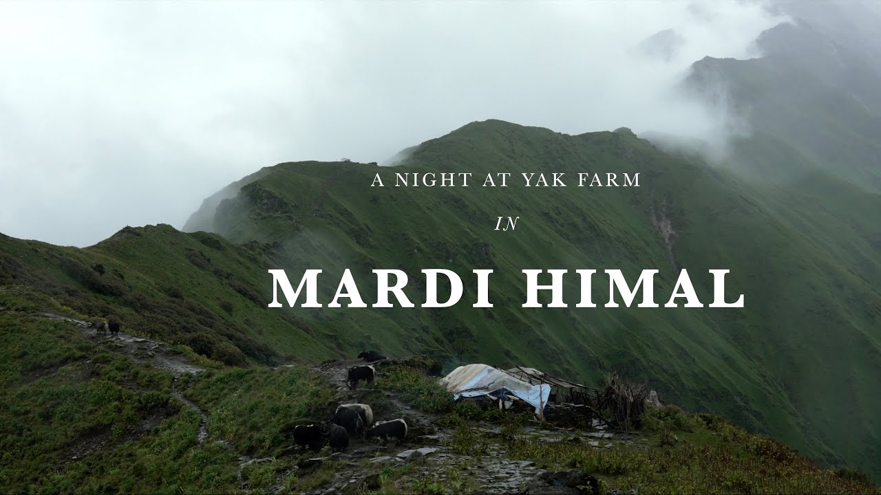 A Night at Yak Farm in Mardi Himal, Nepal !