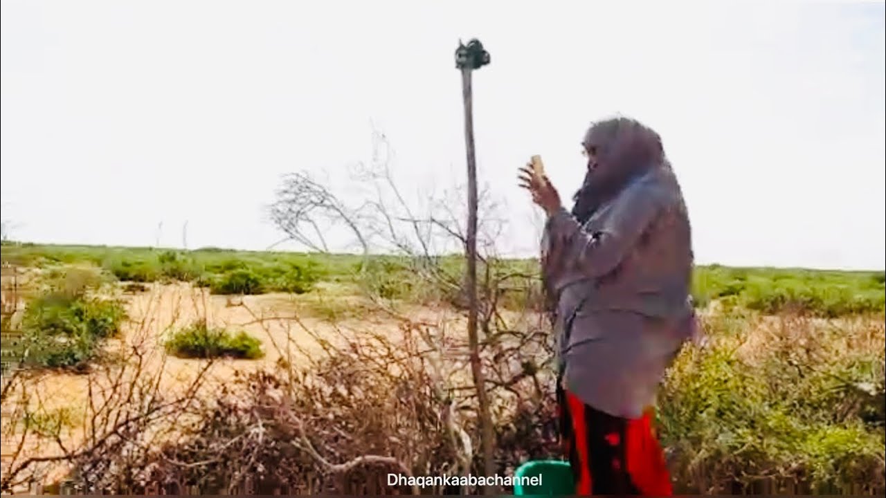 Dhibtaan kamaro soogudbinta muuqaalada😥