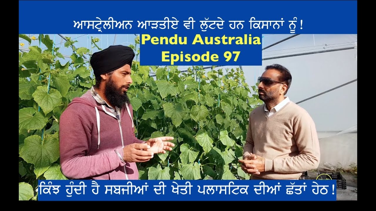 Pendu Australia Episode 97 | Mintu Brar | Pain of Australian Farmers | Punjabi Travel Show