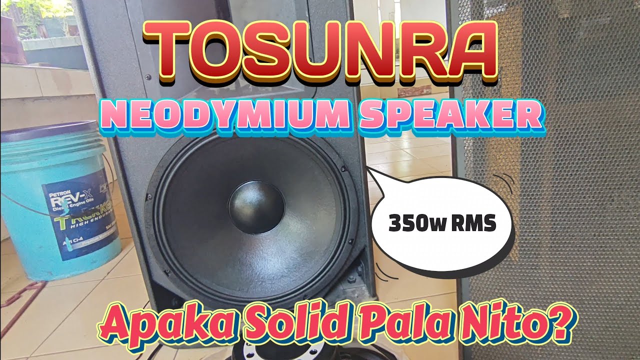 Neodymium Speaker 350w RMS Tosunra Napaka Solid Ng Tunog #share #speaker #neodymiummagnets #tosunra