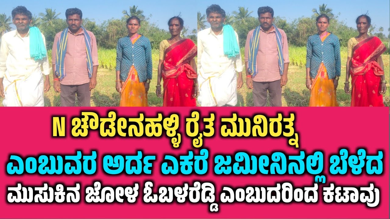N ಚೌಡೇನಹಳ್ಳಿ ರೈತ ಮುನಿರತ್ನ ಎಂಬುವರ ಅರ್ದ ಎಕರೆ ಜಮೀನಿನಲ್ಲಿ ಬೆಳೆದ ಮುಸುಕಿನ ಜೋಳ ಓಬಳರೆಡ್ಡಿ ಎಂಬುದರಿಂದ ಕಟಾವು