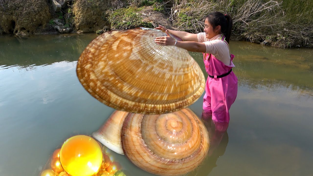 The clam has beautiful pearls in its mouth, so bright that they are all transparent