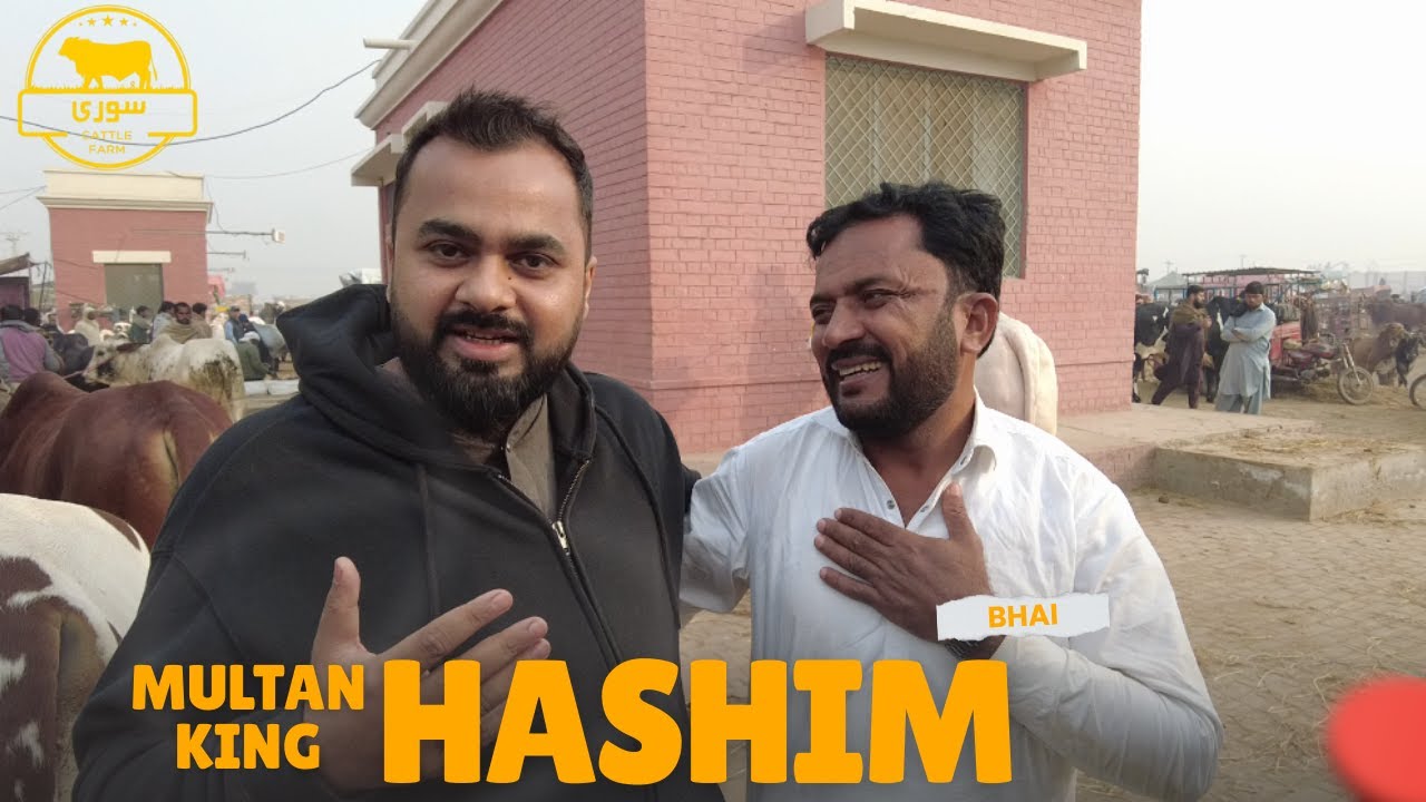 HASHIM MULTAN MANDI KING! 👑 Soori Cattle Farm Qurbani 2026 Collection VLOG-19