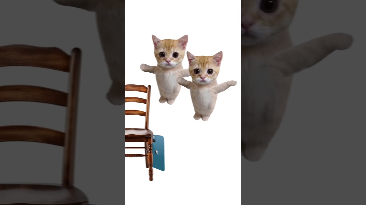 Кто такой нормис? Кисы объясняют 😻