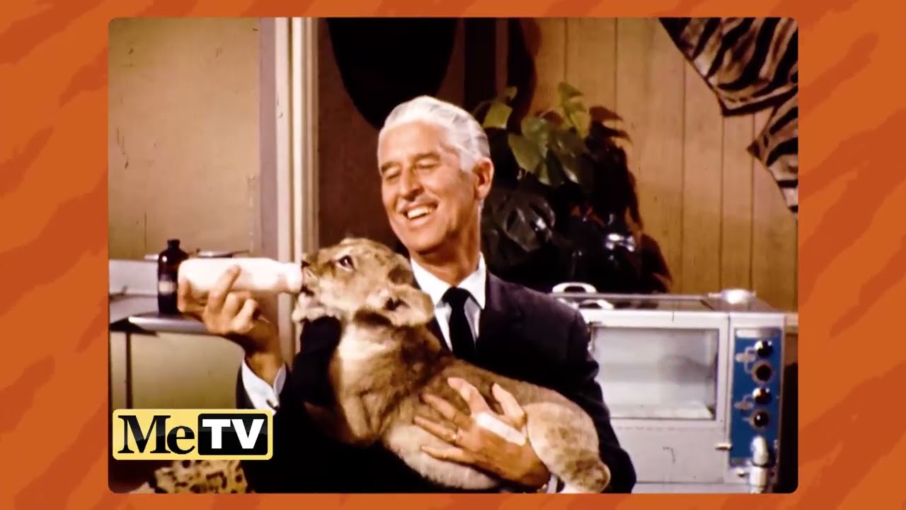 Воскресное утро на MeTV: Mutual of Omaha's Wild Kingdom