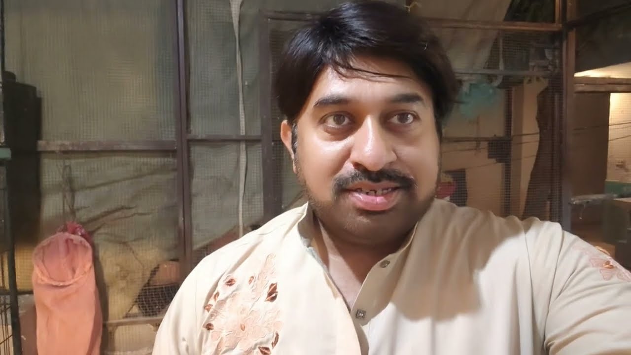 Parrots Ko 110% Breed May Lana Without Medicans | Weather Change | Arhamusman Vlogs| Urdu|| Hindi.