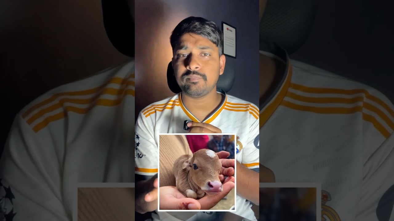 Muslims are Demanding that Cow Be National Animal ?