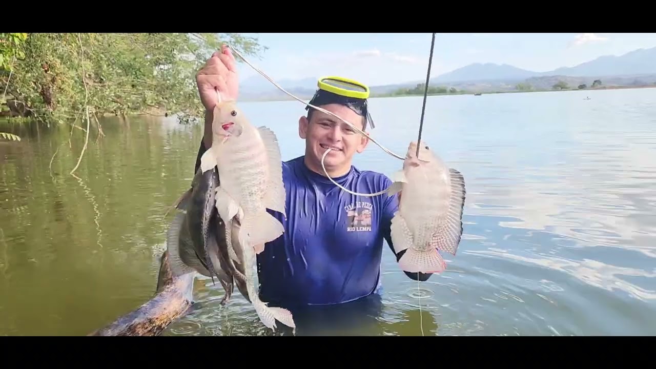 Pesca de tilapias chelonas en el río lempa 😱😱 