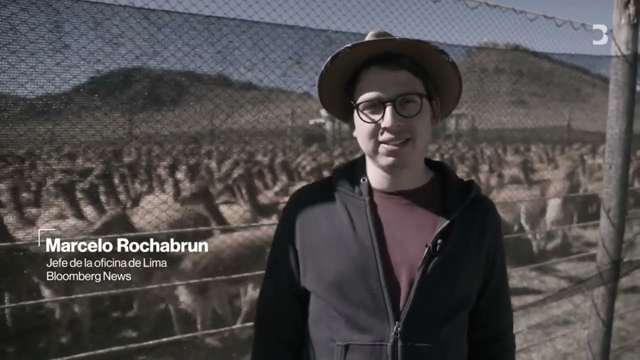 Lo que esconde el reportaje de Bloomberg acerca de la fibra de vicuña y Loro Piana