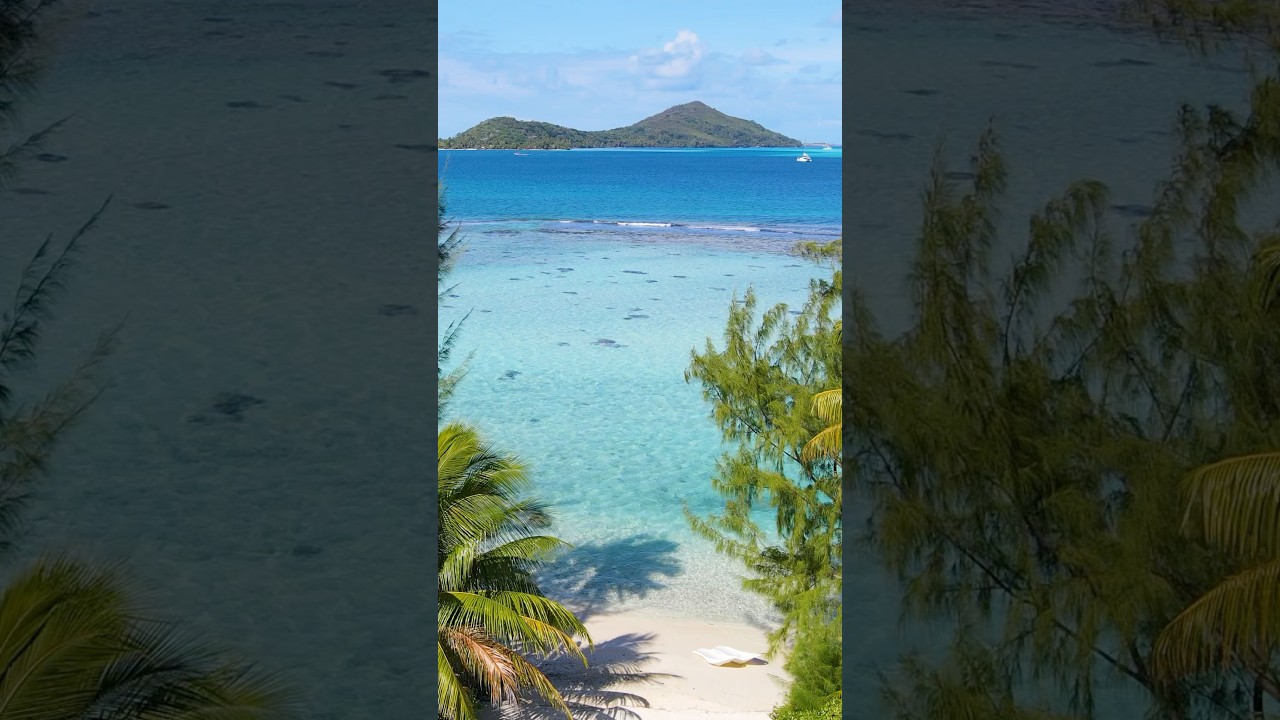 Feel the calm 😌💗🏝️ #meditation #beach #travel #peace #zen #mentalhealth #wellness #calm #healing
