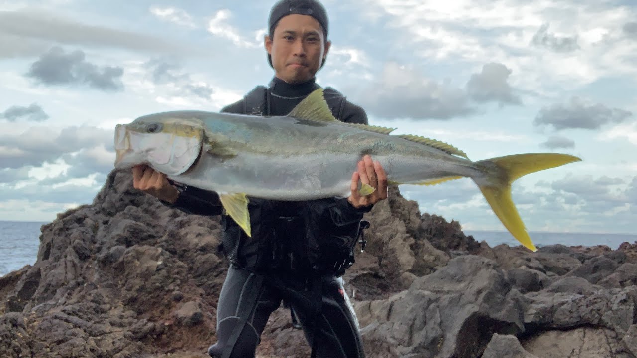 ショアからメーター越えヒラマサ8.5㎏