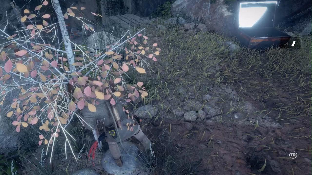Rise of the Tomb Raider_20260204104423