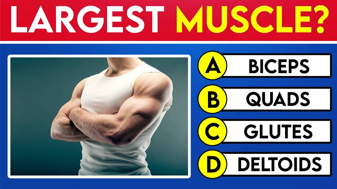 TOUGH General Knowledge Quiz! - Can You Get 15/30?