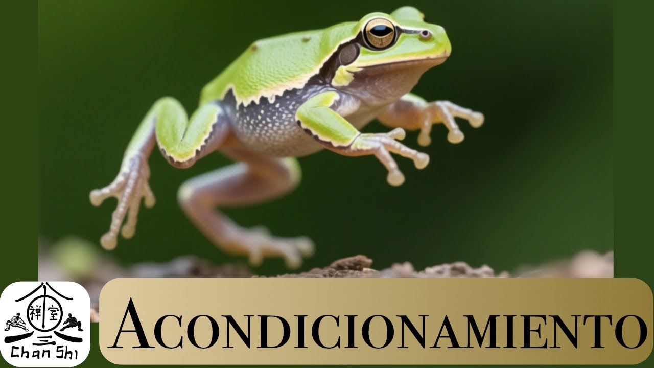 Animales en el kung fu 3. #ejercicio #acondicionamientofísico