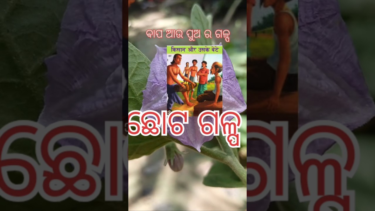 କଣ ଘଟିଛି ଏଇ ତ ଏବେ ଏବେ🙏🙏 #india #odia #odisha #samajkatha#stories