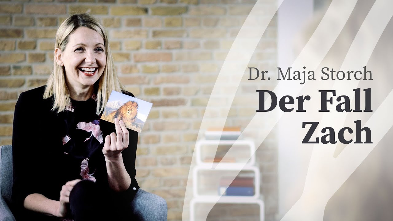 Dr. Maja Storch - Zürcher Ressourcen Modell - Therapiefall Arbeit mit Bildkartei und Motto-Ziele