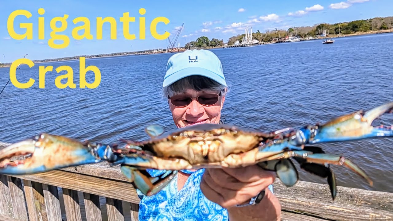Look At These Blue Crabs