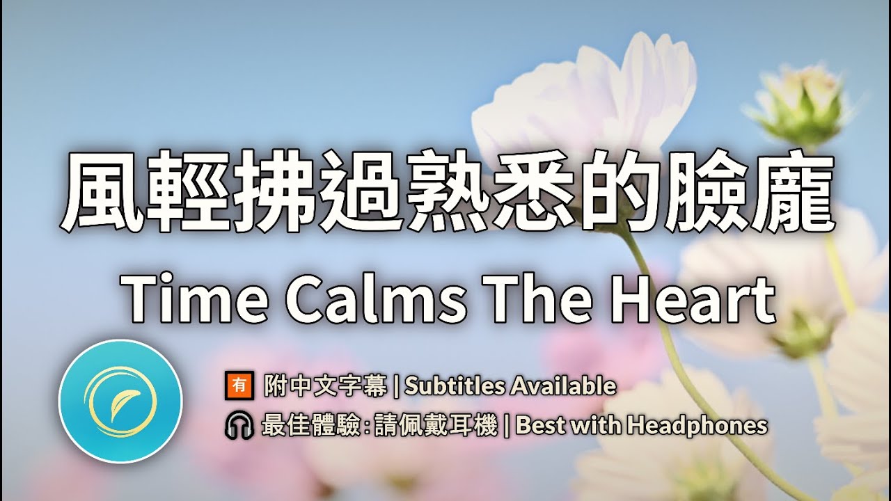 🌸 Taiwan Cosmos Fields 4K Real Photography | 36min Pure Healing Meditation 🎬