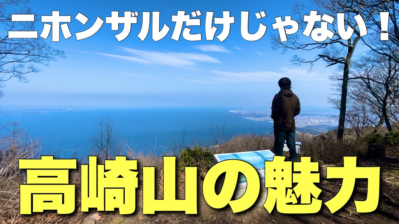 【大分登山】マジでわかっちゃいました。高崎山の全て2