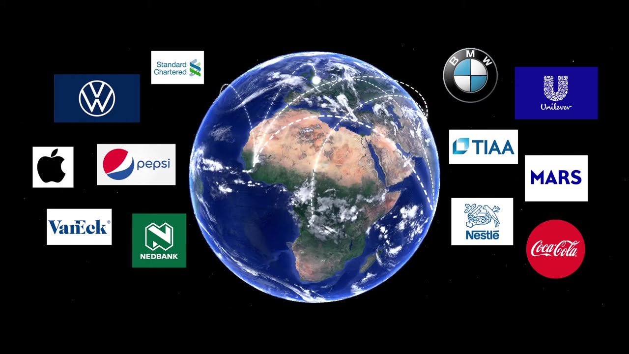 Inclusive Development International