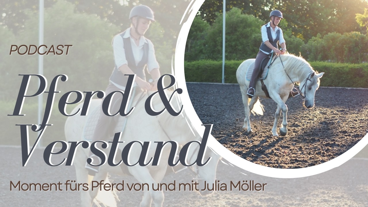 Säulen der Reitkunst