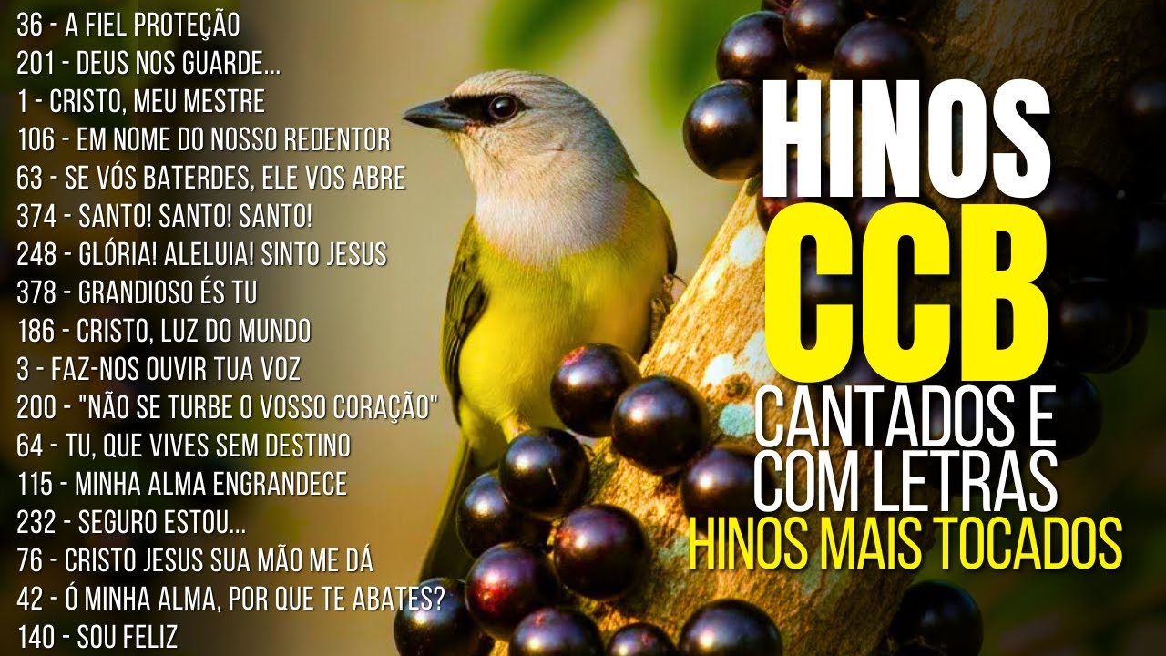 🌿 Para momentos difíceis 🙌 HINOS DA CCB com mensagens fortes de esperança, consolo e poder de DEUS🕊️