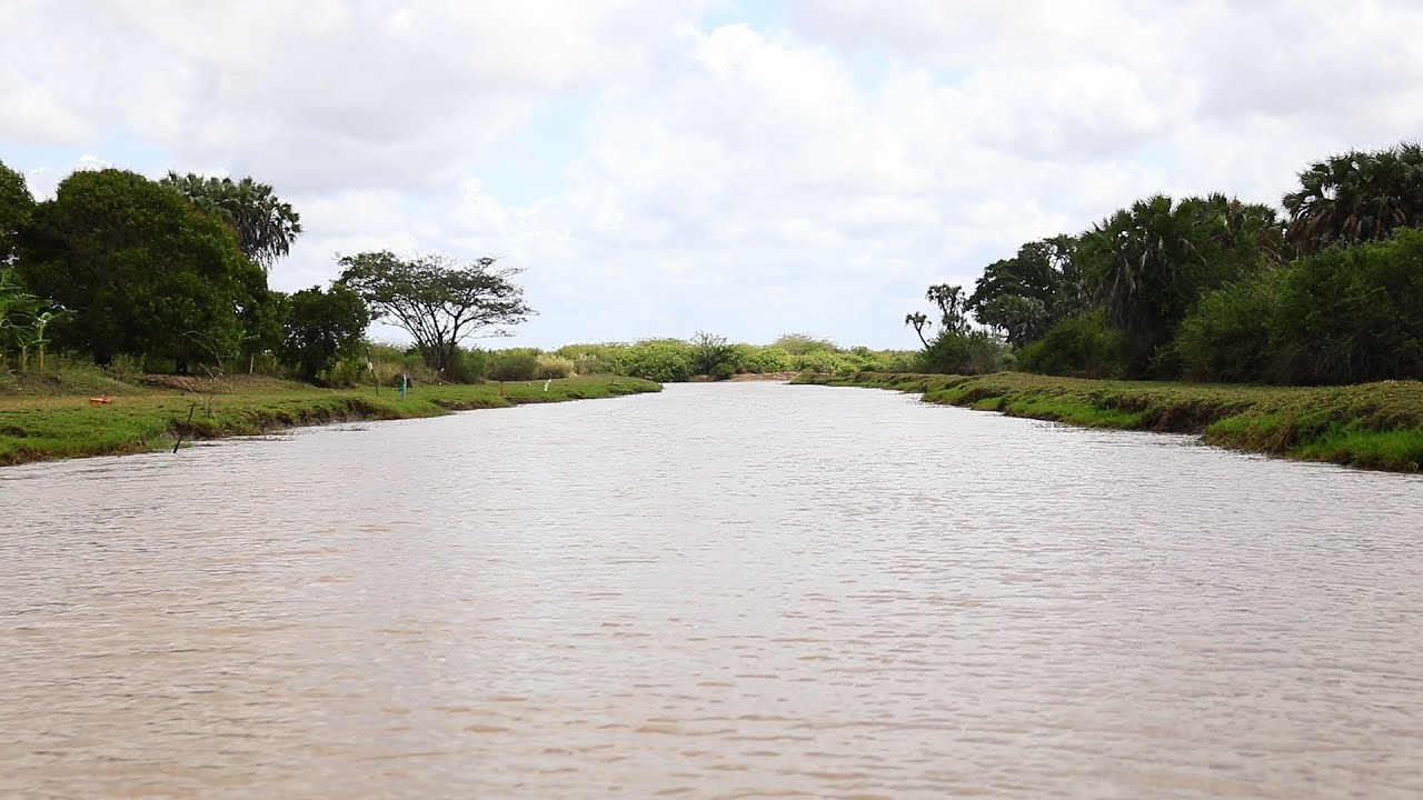 Community Initiative to Restore Forest Cover in Kenya’s Tana Delta