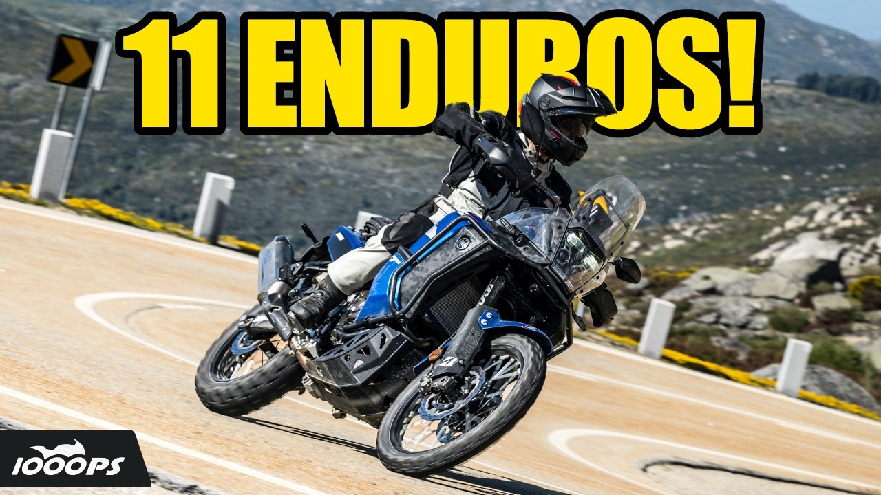 Reiseenduro Vergleich 2024 - 11 Motorräder im Test