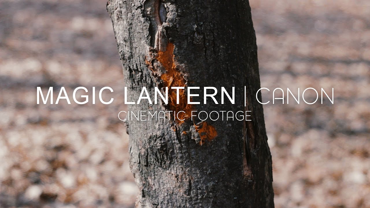 CANON 600D | CINEMATIC FOOTAGE